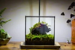 8" Cube NCYP BasicClose Geometric Glass Tin Terrarium, Planter For Moss Wall, Fern, Landscape, No Plants -Ncyp Garden Store 20221118023 1