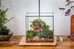 8" Cube NCYP BasicClose Geometric Glass Tin Terrarium, Planter For Moss Wall, Fern, Landscape, No Plants -Ncyp Garden Store 20221118023 15