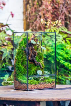 8x12" Close Geometric Glass Terrarium With Door, Tin Sealed Rectangle Tall Planter For Moss Wall, Fern, Landscape Multiple Size, No Plants -Ncyp Garden Store 20221118037 13