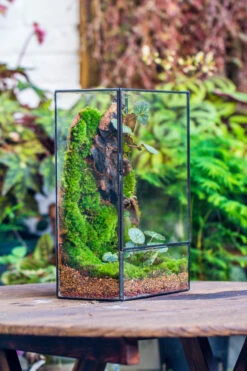 8x12" Close Geometric Glass Terrarium With Door, Tin Sealed Rectangle Tall Planter For Moss Wall, Fern, Landscape Multiple Size, No Plants -Ncyp Garden Store 20221118037 14