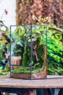 8x12" Close Geometric Glass Terrarium With Door, Tin Sealed Rectangle Tall Planter For Moss Wall, Fern, Landscape Multiple Size, No Plants -Ncyp Garden Store 20221118037 16