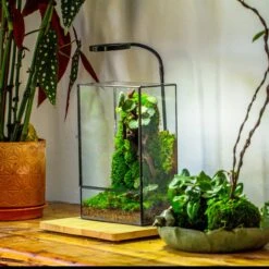 8x12" Close Geometric Glass Terrarium With Door, Tin Sealed Rectangle Tall Planter For Moss Wall, Fern, Landscape Multiple Size, No Plants