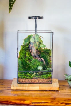 8x12" Close Geometric Glass Terrarium With Door, Tin Sealed Rectangle Tall Planter For Moss Wall, Fern, Landscape Multiple Size, No Plants -Ncyp Garden Store 20221118037 6