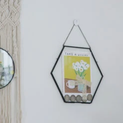 Wall Hanging Black Hexagon 12" Herbarium Brass Glass Frame For Thick Pressed Flowers, Dried Flowers, Poster, Coin, Double Glass, Floating 28 Wall Hanging Black Hexagon 12" Herbarium Brass Glass Frame For Thick Pressed Flowers, Dried Flowers, Poster, Coin, Double Glass, Floating -Ncyp Garden Store 20221122003 11