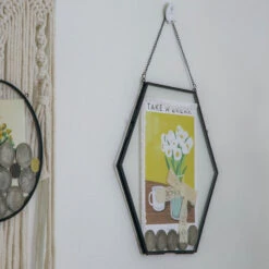 Wall Hanging Black Hexagon 12" Herbarium Brass Glass Frame For Thick Pressed Flowers, Dried Flowers, Poster, Coin, Double Glass, Floating 29 Wall Hanging Black Hexagon 12" Herbarium Brass Glass Frame For Thick Pressed Flowers, Dried Flowers, Poster, Coin, Double Glass, Floating -Ncyp Garden Store 20221122003 12