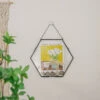Wall Hanging Black Hexagon 12" Herbarium Brass Glass Frame For Thick Pressed Flowers, Dried Flowers, Poster, Coin, Double Glass, Floating -Ncyp Garden Store 20221122003 15