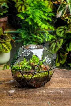 Handmade Close Triangular Pentagon Mix 32-Sides Clear Glass Geometric Centerpiece Terrarium For Moss -Ncyp Garden Store 20230509029 12
