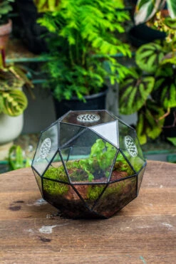 Handmade Close Triangular Pentagon Mix 32-Sides Clear Glass Geometric Centerpiece Terrarium For Moss -Ncyp Garden Store 20230509029 18