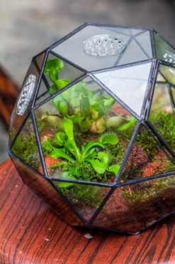 Handmade Close Triangular Pentagon Mix 32-Sides Clear Glass Geometric Centerpiece Terrarium For Moss -Ncyp Garden Store 20230509029 2