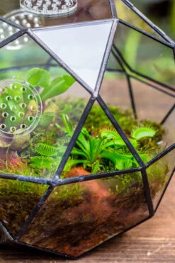Handmade Close Triangular Pentagon Mix 32-Sides Clear Glass Geometric Centerpiece Terrarium For Moss -Ncyp Garden Store 20230509029 21