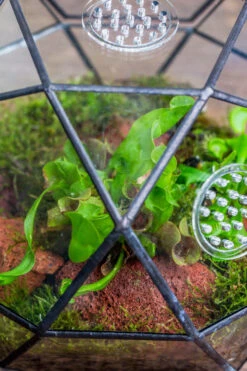 Handmade Close Triangular Pentagon Mix 32-Sides Clear Glass Geometric Centerpiece Terrarium For Moss -Ncyp Garden Store 20230509029 22