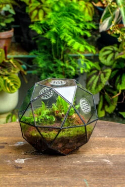 Handmade Close Triangular Pentagon Mix 32-Sides Clear Glass Geometric Centerpiece Terrarium For Moss -Ncyp Garden Store 20230509029 9