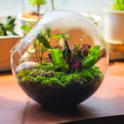 Ncyp Garden Store -Ncyp Garden Store 20230608041 2