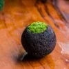 DIY Set 9cm / 3.5" Round Horticultural Lava Rock Volcanic Rock Planter And Moss Building Kit 1 DIY Set 9cm / 3.5" Round Horticultural Lava Rock Volcanic Rock Planter And Moss Building Kit -Ncyp Garden Store 2024 2 2 IMG 0408