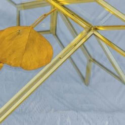 Geometric Gardenia Garden Gold Glass And Brass Wedding Table Number Holder, Pressed Flower Frame 32 Geometric Gardenia Garden Gold Glass And Brass Wedding Table Number Holder, Pressed Flower Frame -Ncyp Garden Store 290A0517