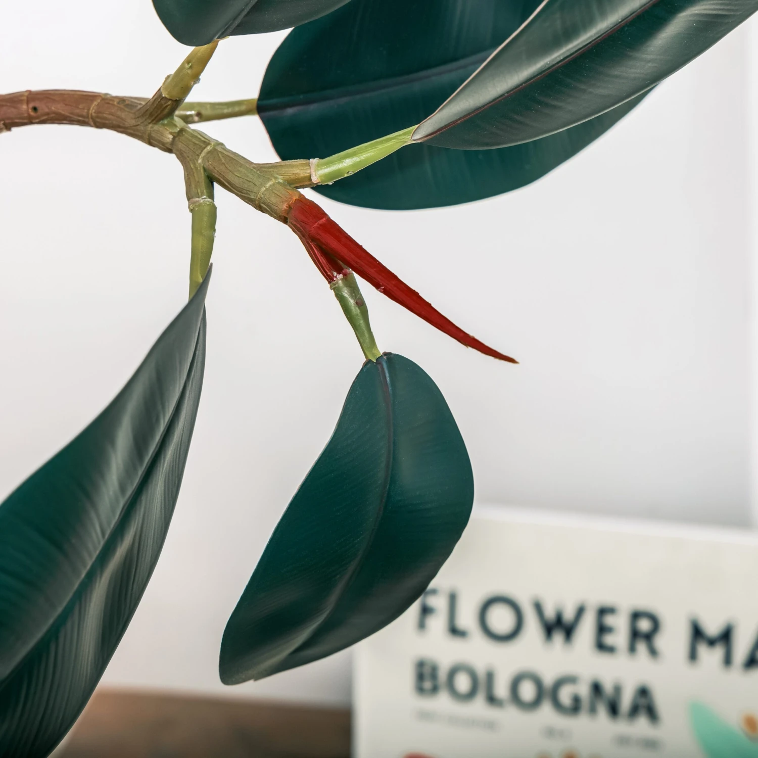 NCYP Artificial Rubber Tree, Rubber Fig, Rubber Bush 5.9FT (70.8 Inches) Tall Faux Plant For Home Office Decor, Indoor Fake Potted Ficus Elastica Tree With Plastic Pot And Rattan Woven Basket 12 NCYP Artificial Rubber Tree, Rubber Fig, Rubber Bush 5.9FT (70.8 Inches) Tall Faux Plant For Home Office Decor, Indoor Fake Potted Ficus Elastica Tree With Plastic Pot And Rattan Woven Basket - Image 10