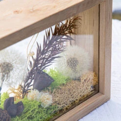 Presered Dandelion Set 3 Pcs Dried Flowers, DIY Material For Bouquet, -Ncyp Garden Store 290A1800