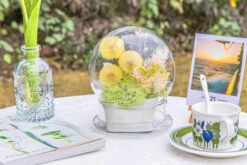 Yellow Presered Dandelion Set 3 Pcs Dried Flowers, DIY Material For Bouquet -Ncyp Garden Store 290A2323