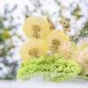 Yellow Presered Dandelion Set 3 Pcs Dried Flowers, DIY Material For Bouquet -Ncyp Garden Store 290A2366