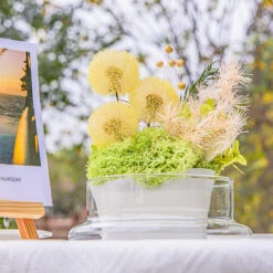 Yellow Presered Dandelion Set 3 Pcs Dried Flowers, DIY Material For Bouquet -Ncyp Garden Store 290A2381