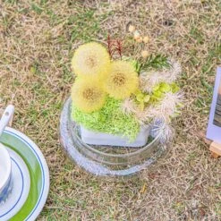 Yellow Presered Dandelion Set 3 Pcs Dried Flowers, DIY Material For Bouquet -Ncyp Garden Store 290A2412