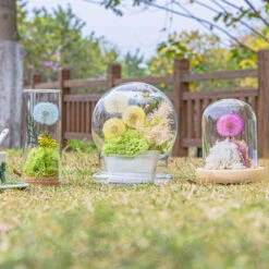 Yellow Presered Dandelion Set 3 Pcs Dried Flowers, DIY Material For Bouquet -Ncyp Garden Store 290A2507