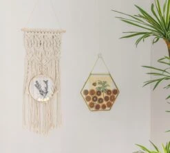 Wall Hanging Round 8" Herbarium Brass Glass Frame For Thick Pressed Flowers, Dried Flowers, Poster, Coin, Double Glass, Floating Frame 39 Wall Hanging Round 8" Herbarium Brass Glass Frame For Thick Pressed Flowers, Dried Flowers, Poster, Coin, Double Glass, Floating Frame -Ncyp Garden Store 290A2521