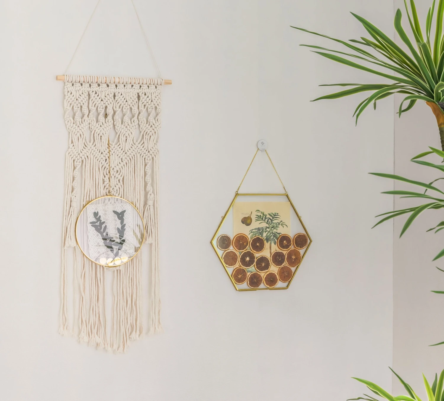 Wall Hanging Round 8" Herbarium Brass Glass Frame For Thick Pressed Flowers, Dried Flowers, Poster, Coin, Double Glass, Floating Frame 21 Wall Hanging Round 8" Herbarium Brass Glass Frame For Thick Pressed Flowers, Dried Flowers, Poster, Coin, Double Glass, Floating Frame - Image 19