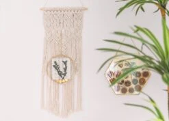 Wall Hanging Round 8" Herbarium Brass Glass Frame For Thick Pressed Flowers, Dried Flowers, Poster, Coin, Double Glass, Floating Frame 25 Wall Hanging Round 8" Herbarium Brass Glass Frame For Thick Pressed Flowers, Dried Flowers, Poster, Coin, Double Glass, Floating Frame -Ncyp Garden Store 290A2527