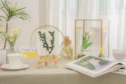 Wall Hanging Round 8" Herbarium Brass Glass Frame For Thick Pressed Flowers, Dried Flowers, Poster, Coin, Double Glass, Floating Frame 37 Wall Hanging Round 8" Herbarium Brass Glass Frame For Thick Pressed Flowers, Dried Flowers, Poster, Coin, Double Glass, Floating Frame -Ncyp Garden Store 290A2779