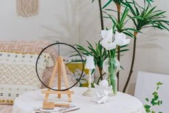 NCYP Glass Coin Organizer Holder For Morgan Silver Dollar Coin - Wall Hanging Display Frame - Round 8" Glass Floating Herbarium For Dried Flowers - Home Decor, Black -Ncyp Garden Store 290A2892