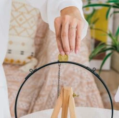 NCYP Glass Coin Organizer Holder For Morgan Silver Dollar Coin - Wall Hanging Display Frame - Round 8" Glass Floating Herbarium For Dried Flowers - Home Decor, Black -Ncyp Garden Store 290A2893