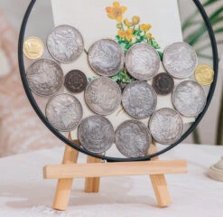 NCYP Glass Coin Organizer Holder For Morgan Silver Dollar Coin - Wall Hanging Display Frame - Round 8" Glass Floating Herbarium For Dried Flowers - Home Decor, Black -Ncyp Garden Store 290A2913