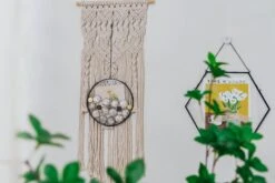 NCYP Glass Coin Organizer Holder For Morgan Silver Dollar Coin - Wall Hanging Display Frame - Round 8" Glass Floating Herbarium For Dried Flowers - Home Decor, Black -Ncyp Garden Store 290A3032