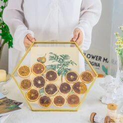 Wall Hanging Hexagon 12" Herbarium Brass Glass Frame For Thick Pressed Flowers, Dried Flowers, Poster, Coin, Double Glass, Floating Frame -Ncyp Garden Store 290A3133