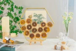 Wall Hanging Hexagon 12" Herbarium Brass Glass Frame For Thick Pressed Flowers, Dried Flowers, Poster, Coin, Double Glass, Floating Frame -Ncyp Garden Store 290A3142