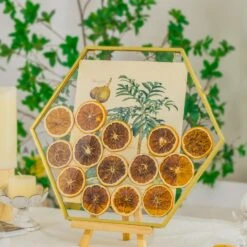 Wall Hanging Hexagon 12" Herbarium Brass Glass Frame For Thick Pressed Flowers, Dried Flowers, Poster, Coin, Double Glass, Floating Frame -Ncyp Garden Store 290A3150