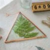 Hanging Triangle Herbarium Copper Glass Frame For Pressed Flowers Dried Flowers Poster -Ncyp Garden Store 2999