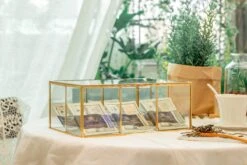 NCYP Glass Terrarium Box Tea Coffee Bag Storage Organizer Jewelry Counter 6 Grids Compartments Handcrafted Brass For Harney & Sons Tea Bag -Ncyp Garden Store 2 20201224001 6