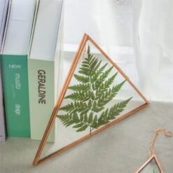 Hanging Triangle Herbarium Copper Glass Frame For Pressed Flowers Dried Flowers Poster -Ncyp Garden Store 3033