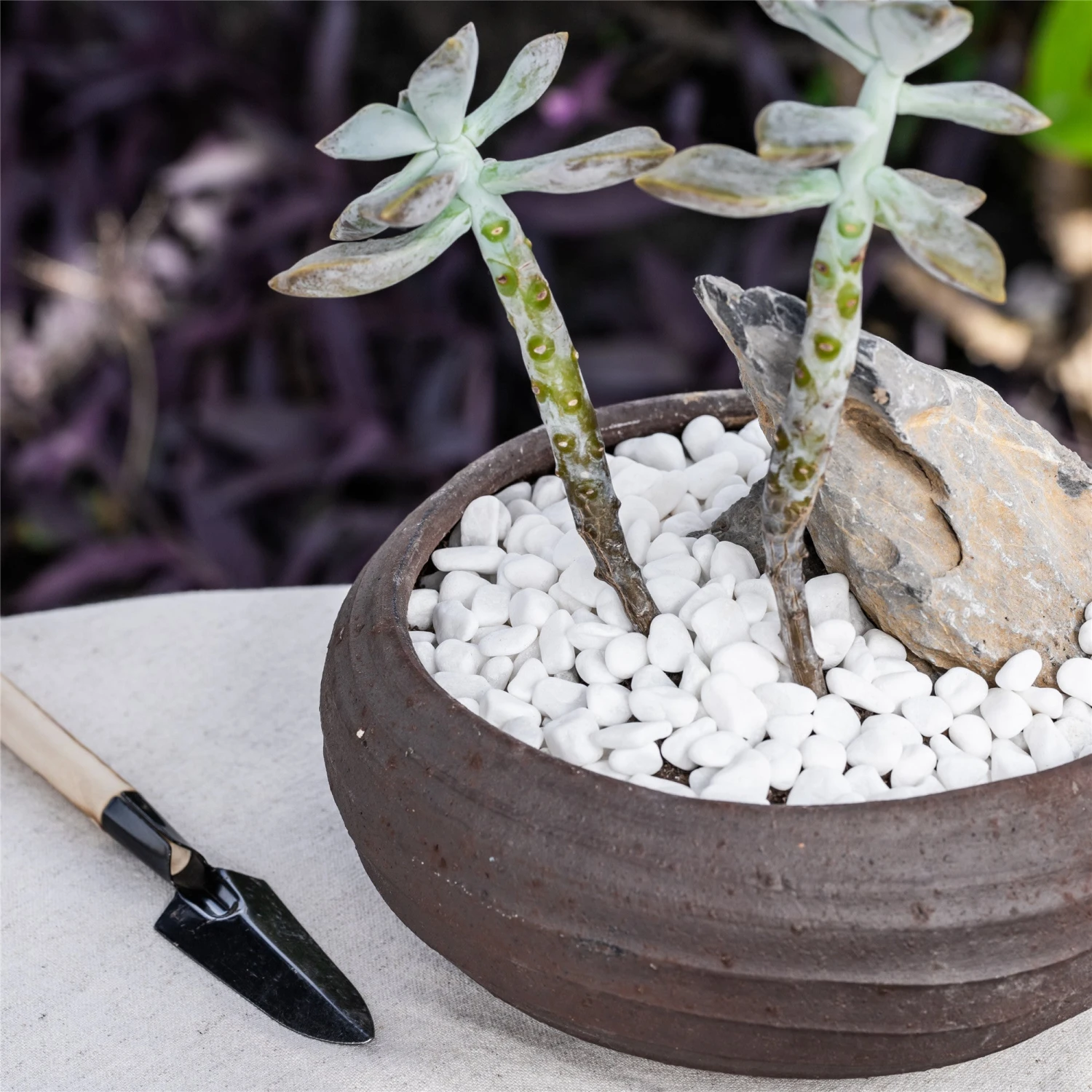 Decorative White Pebble Rocks For Succulents Top Dressing, For Terrarium, Fairy Gardening 5 Decorative White Pebble Rocks For Succulents Top Dressing, For Terrarium, Fairy Gardening - Image 3