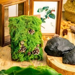 Gardening Plasticine DIY Clay For Perserved Moss, Vertical Garden, Terrarium, Micro Landscape, 500g / 1.1lb -Ncyp Garden Store 5029