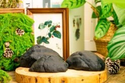 Gardening Plasticine DIY Clay For Perserved Moss, Vertical Garden, Terrarium, Micro Landscape, 500g / 1.1lb -Ncyp Garden Store 5040