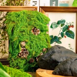 Gardening Plasticine DIY Clay For Perserved Moss, Vertical Garden, Terrarium, Micro Landscape, 500g / 1.1lb -Ncyp Garden Store 5041