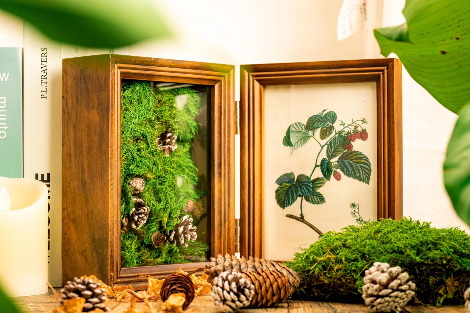 Preserved Long Hairy Moss, Green 20x50cm, For DIY Moss Wall, Moss Terrarium, Vertical Garden 4 Preserved Long Hairy Moss, Green 20x50cm, For DIY Moss Wall, Moss Terrarium, Vertical Garden - Image 2