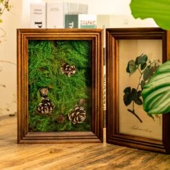 Preserved Long Hairy Moss, Green 20x50cm, For DIY Moss Wall, Moss Terrarium, Vertical Garden 15 Preserved Long Hairy Moss, Green 20x50cm, For DIY Moss Wall, Moss Terrarium, Vertical Garden -Ncyp Garden Store 5088