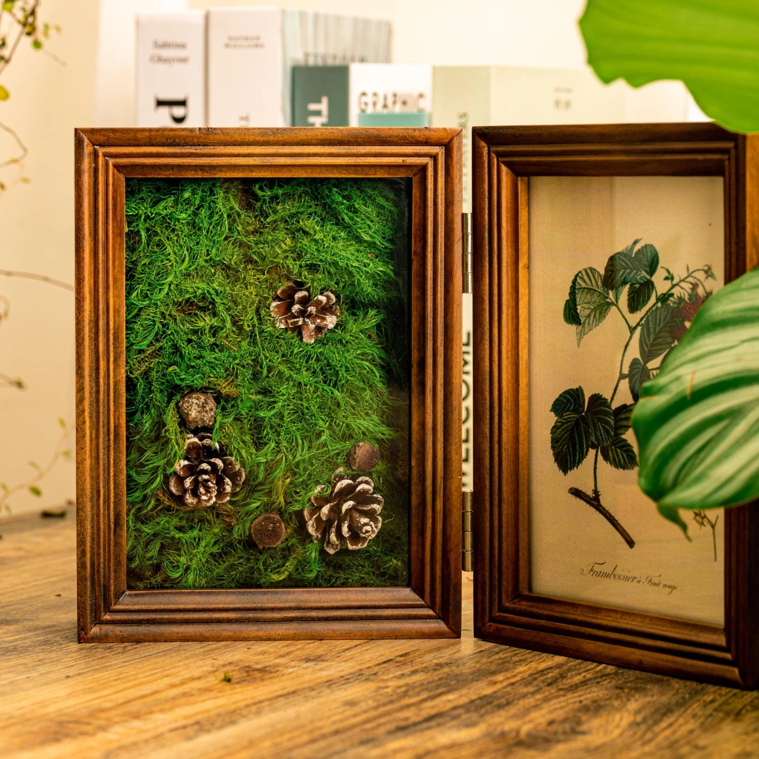 Preserved Long Hairy Moss, Green 20x50cm, For DIY Moss Wall, Moss Terrarium, Vertical Garden 6 Preserved Long Hairy Moss, Green 20x50cm, For DIY Moss Wall, Moss Terrarium, Vertical Garden - Image 4