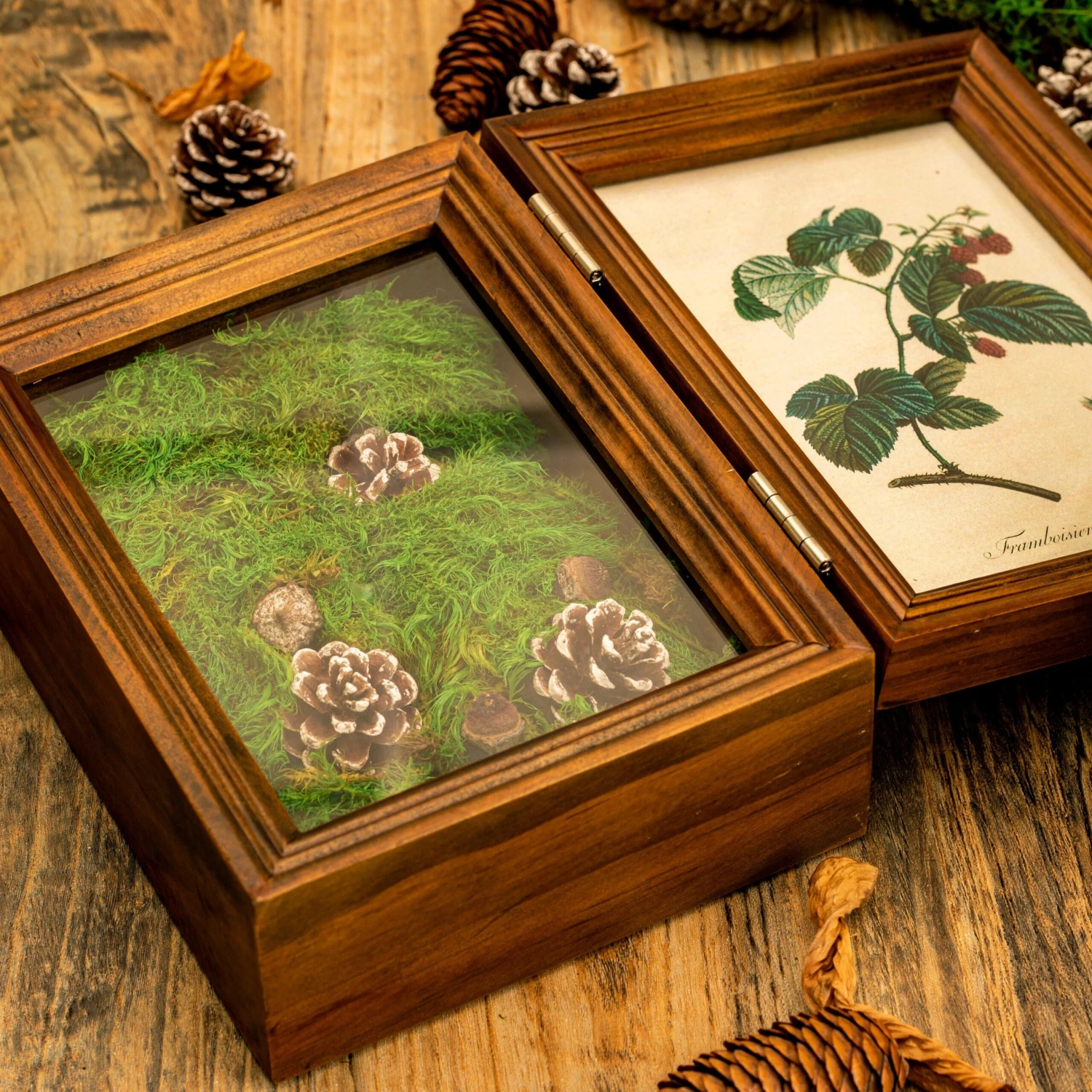 Preserved Long Hairy Moss, Green 20x50cm, For DIY Moss Wall, Moss Terrarium, Vertical Garden 7 Preserved Long Hairy Moss, Green 20x50cm, For DIY Moss Wall, Moss Terrarium, Vertical Garden - Image 5