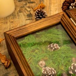 Preserved Long Hairy Moss, Green 20x50cm, For DIY Moss Wall, Moss Terrarium, Vertical Garden 17 Preserved Long Hairy Moss, Green 20x50cm, For DIY Moss Wall, Moss Terrarium, Vertical Garden -Ncyp Garden Store 5100