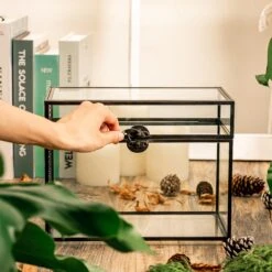 Black Geometric Glass Card Box Terrarium Foot Latch Handmade Rectangular For Wedding Receiption Wishwell Keepsake 12 Black Geometric Glass Card Box Terrarium Foot Latch Handmade Rectangular For Wedding Receiption Wishwell Keepsake -Ncyp Garden Store 5125